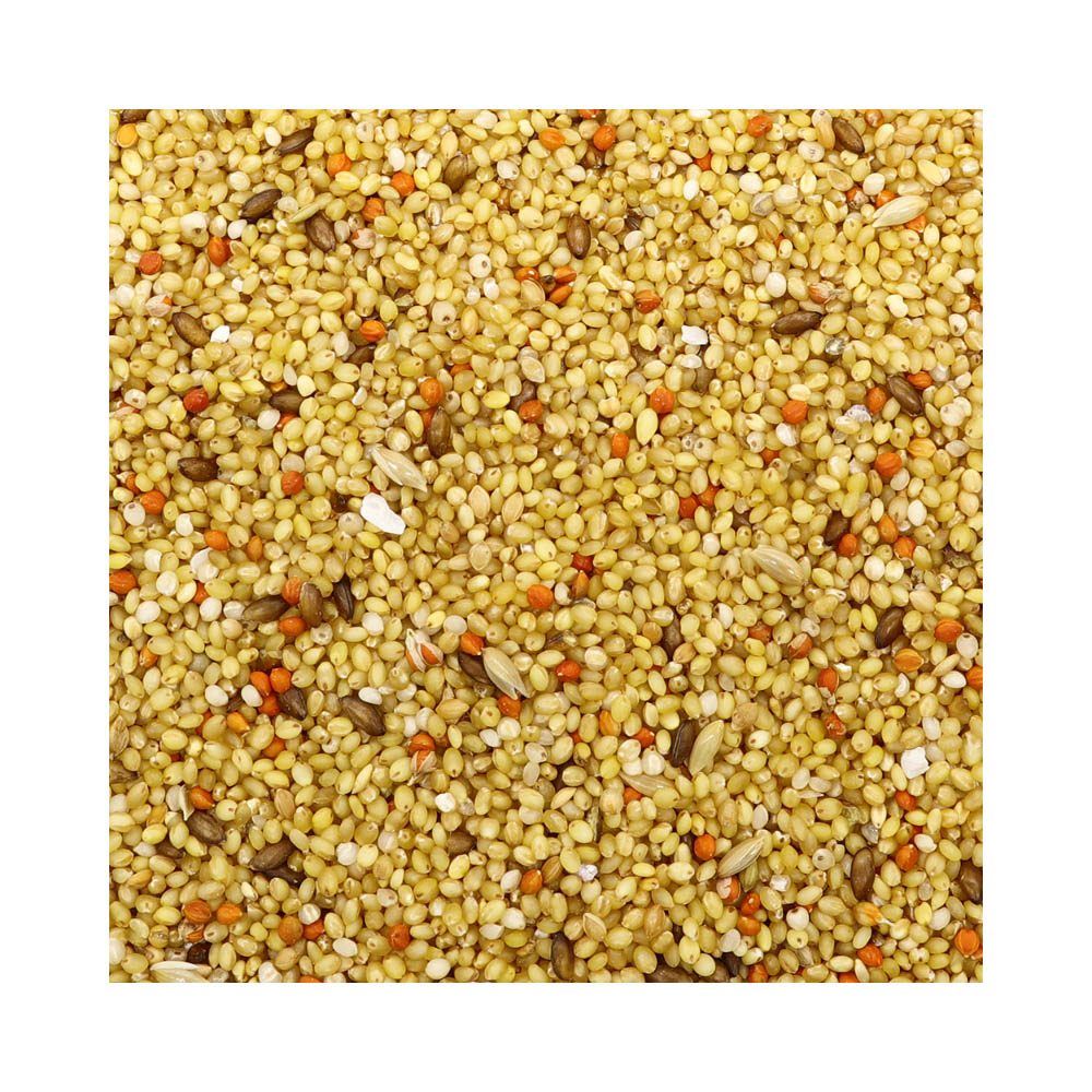 エクセル おいしい小鳥の食事シニア3.6㎏