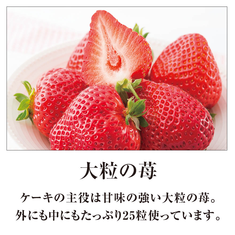 【限定800台】タカキベーカリー youmeのクリスマスケーキ