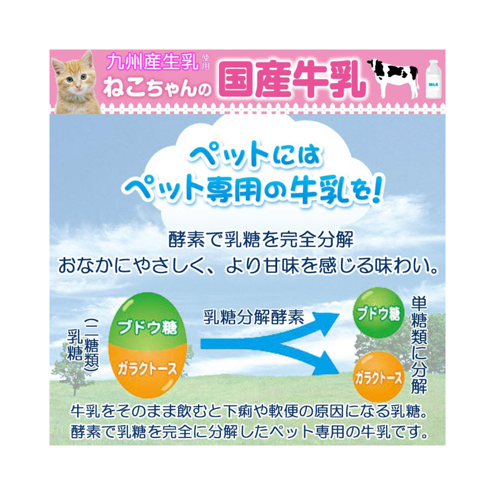 キャティーマン ねこちゃんの国産牛乳200ML