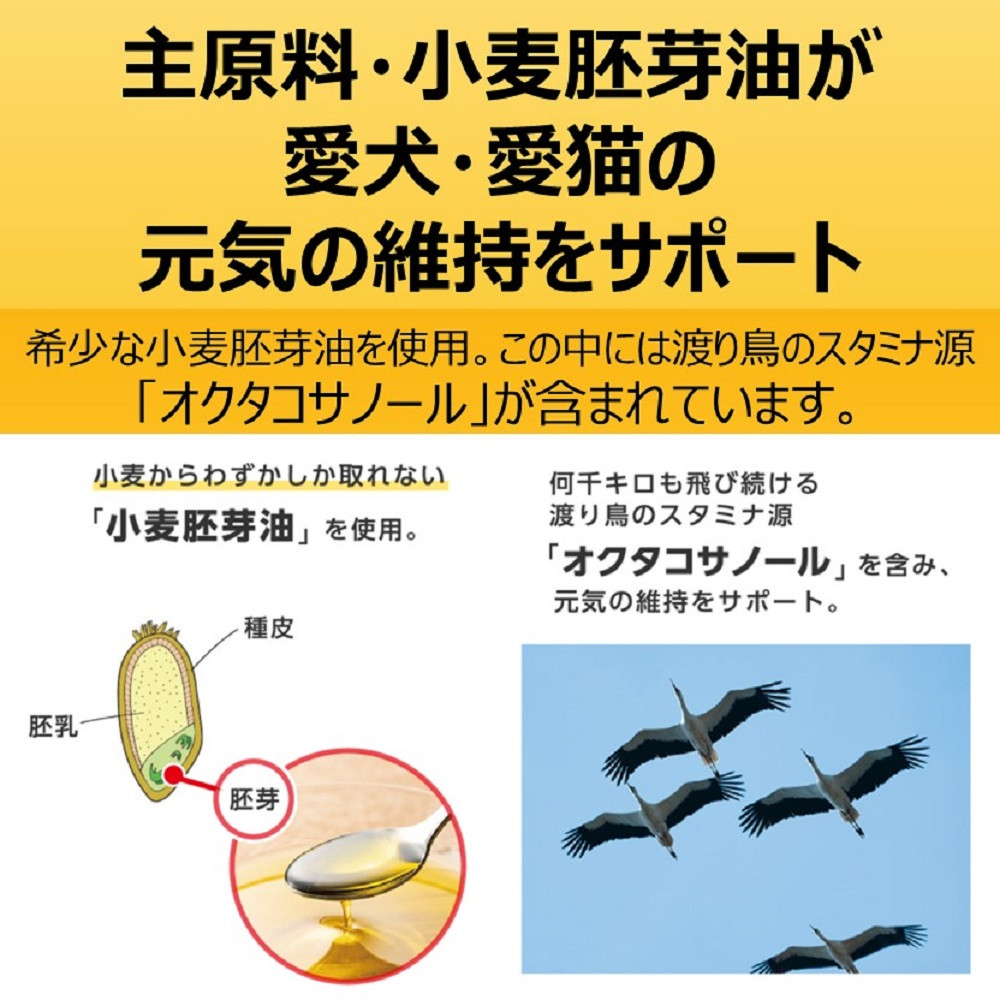スタミノール子いぬ・子ねこ用100g