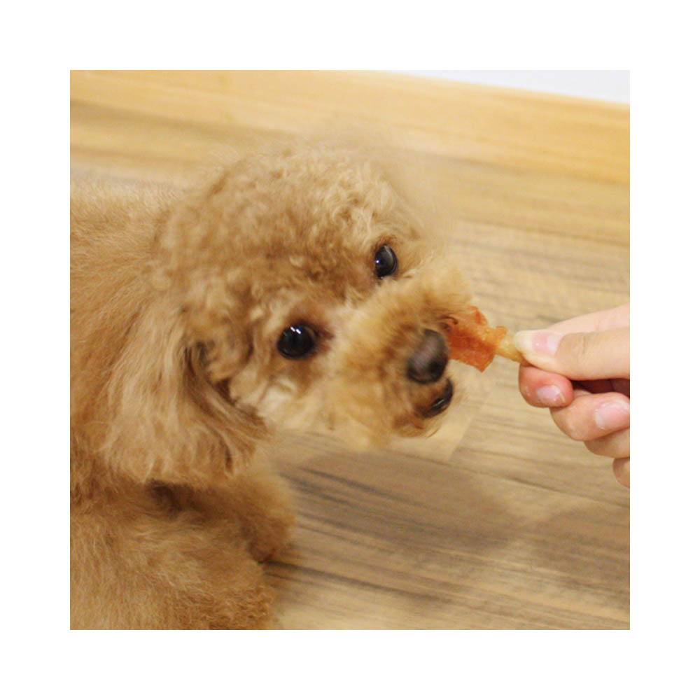 ドギーマン こだわりササミドック9本