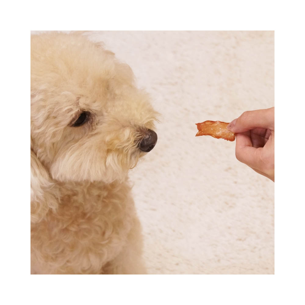 ドギーマン 無添加良品ふわふわ満足砂ぎも40g