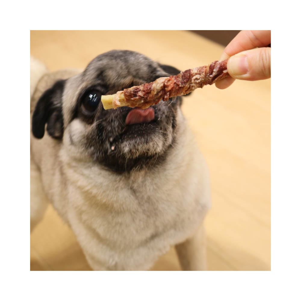 ドギーマン 無添加良品国産鶏の赤もも肉巻き9本