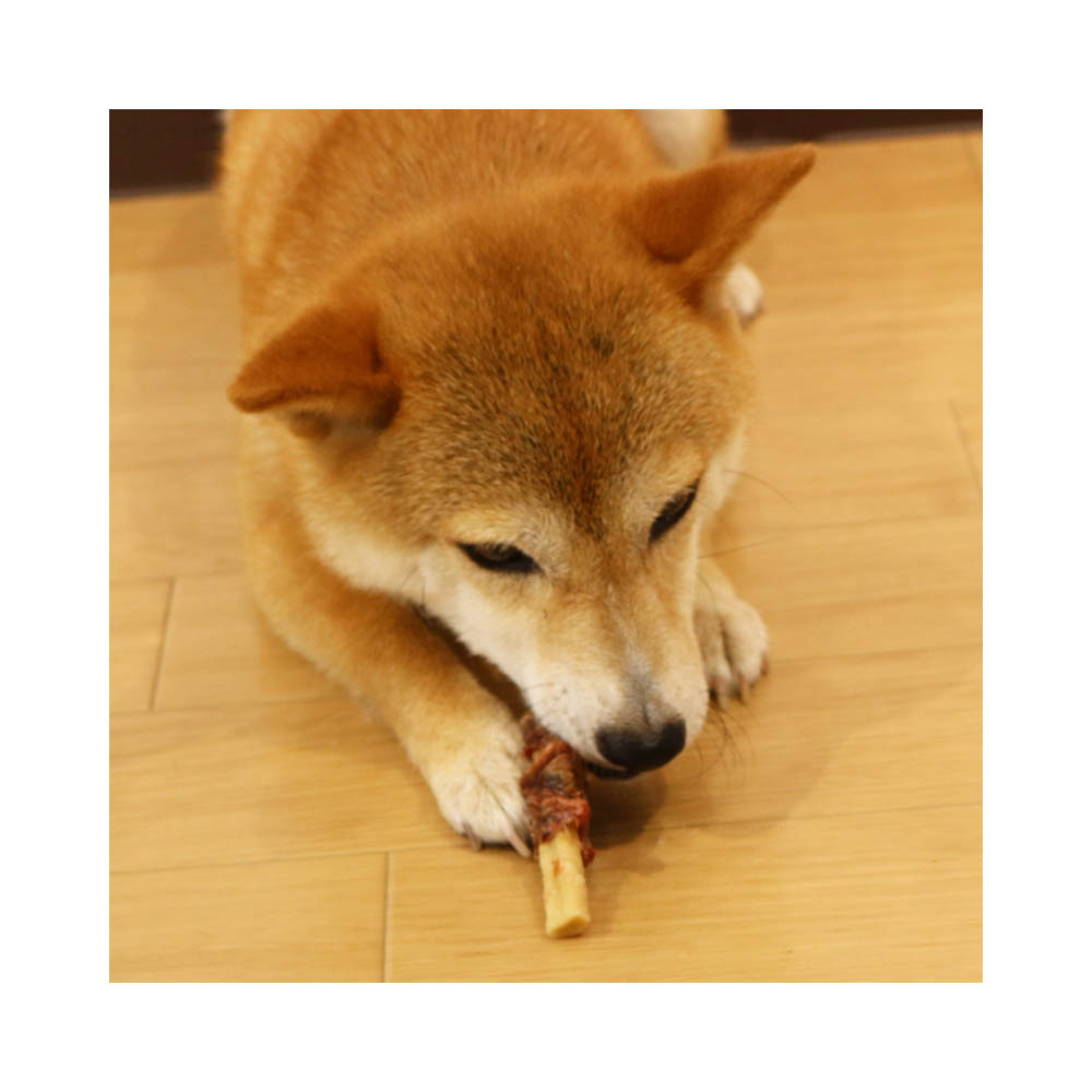 ドギーマン 無添加良品国産鶏の赤もも肉ミニ巻き18本