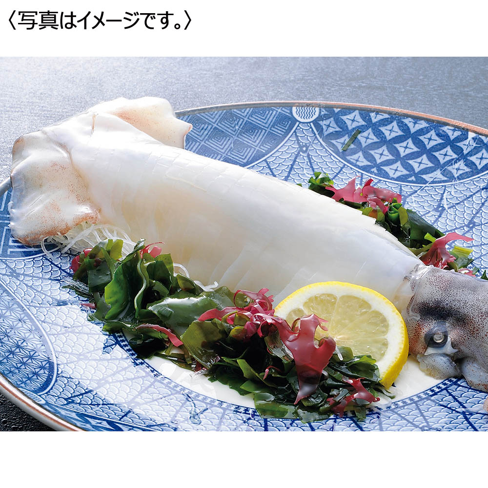 【送料込み】<呼子CASセンター> 佐賀県産CAS凍結いか姿造り