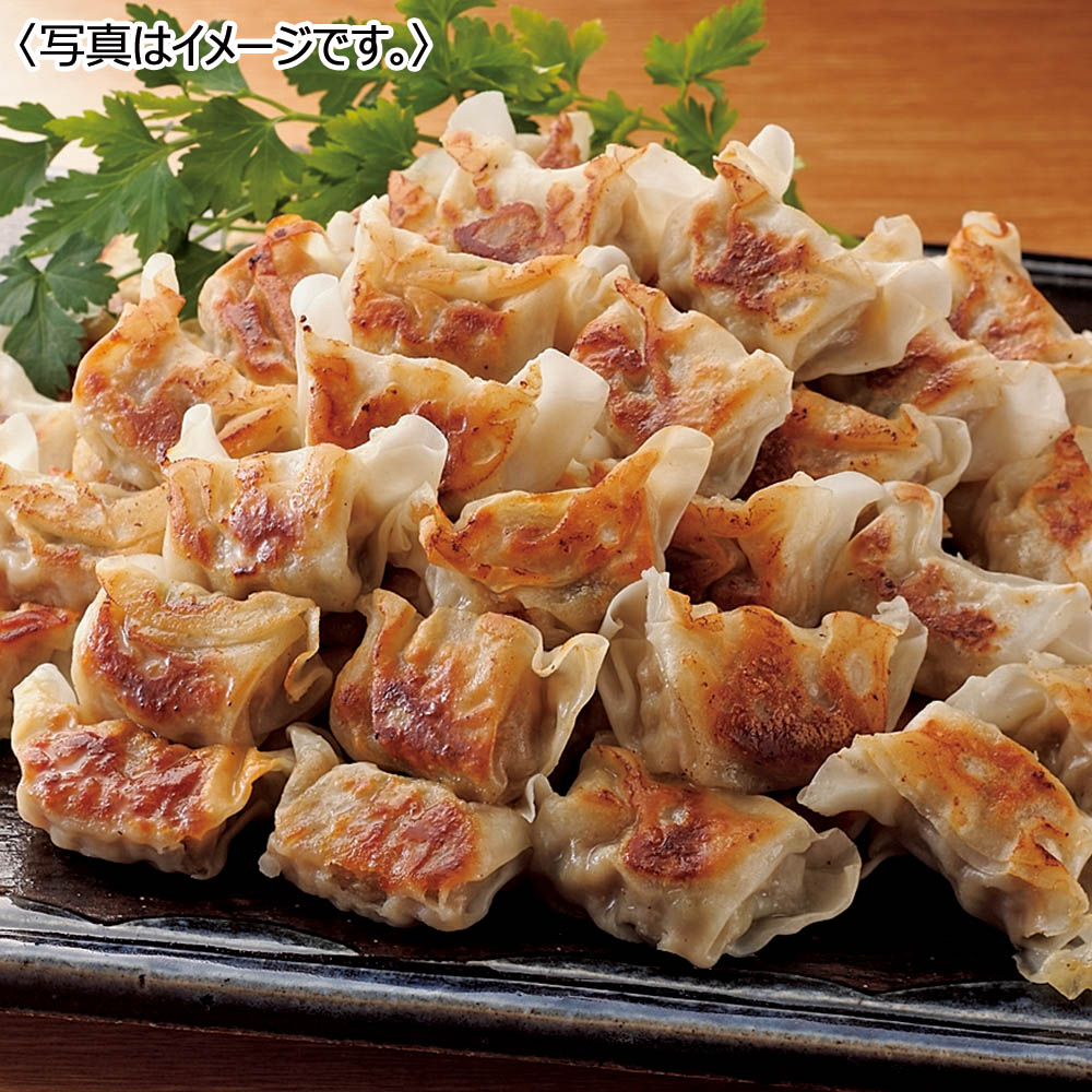 【送料込み】国産豚肉のひとくち肉餃子