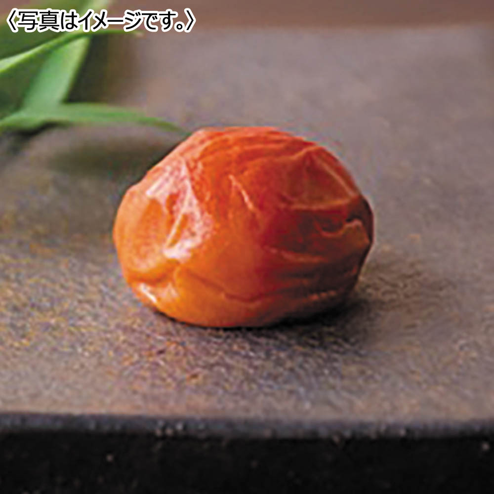 【送料込み】<濱田> 和歌山 南高梅(うす塩味)
