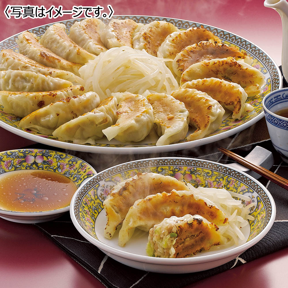 【送料込み】静岡 浜松餃子