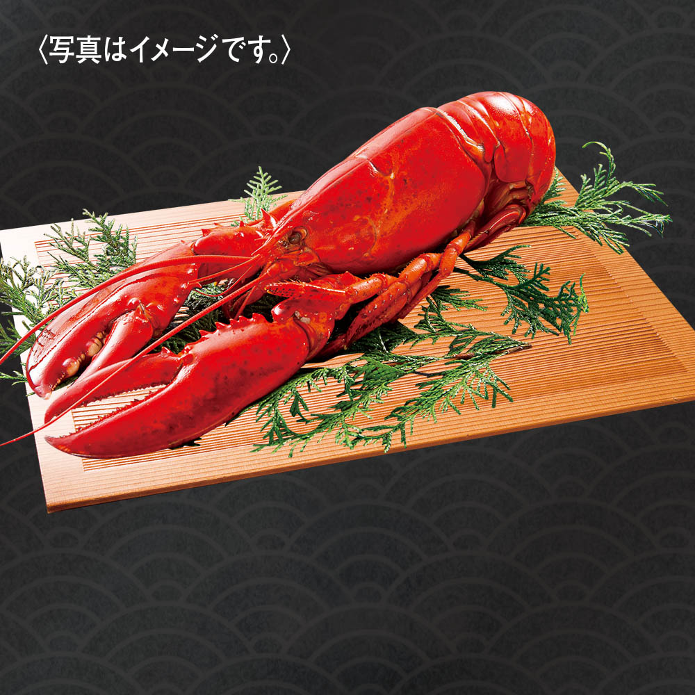 【限定300尾】オマールロブスター