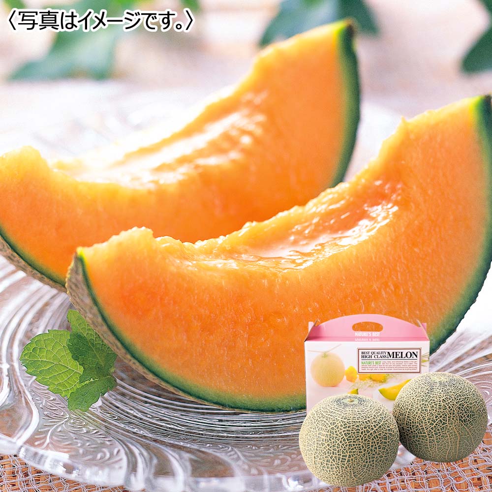 熊本県産クインシーメロン