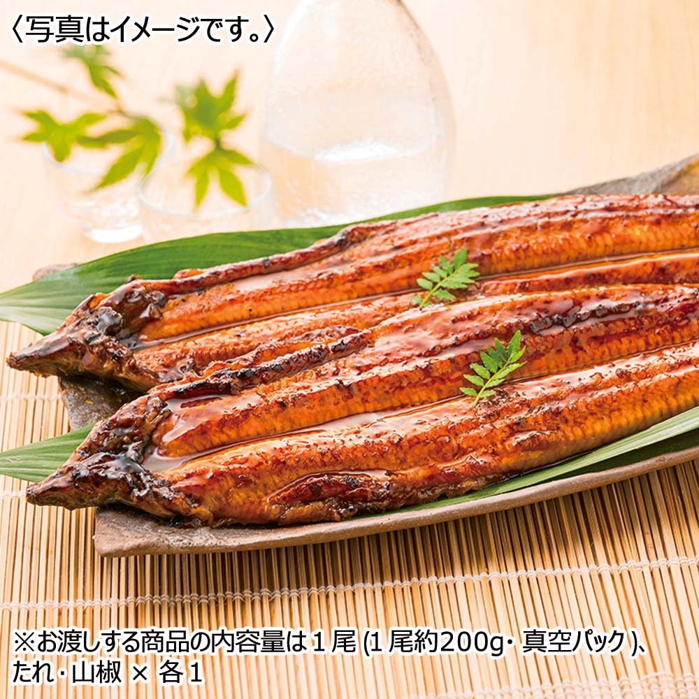 九州産 淡麗良蒲うなぎ蒲焼 1尾