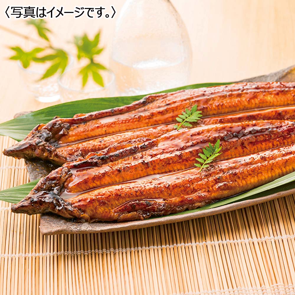 九州産 淡麗良蒲うなぎ蒲焼 2尾セット