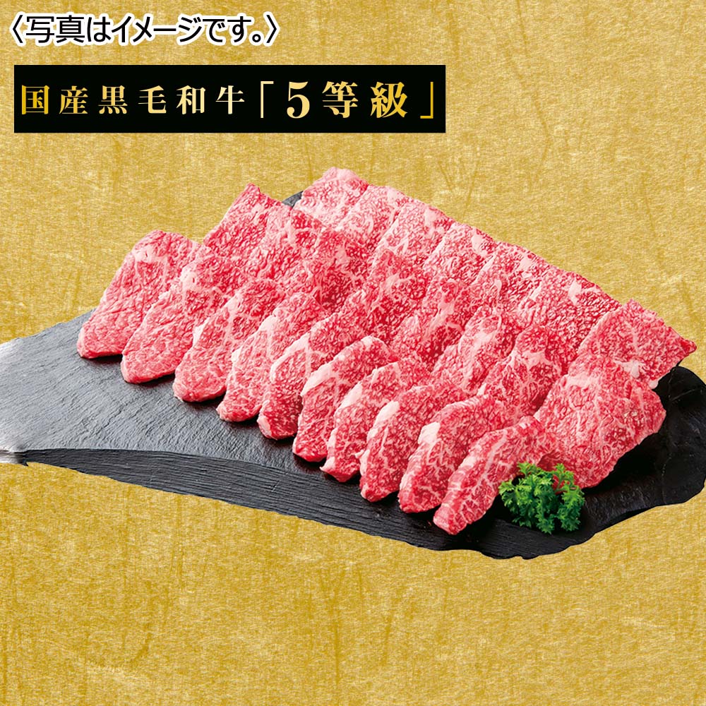 国産黒毛和牛5等級 国産黒毛和牛 赤身カルビ焼肉用(肩)