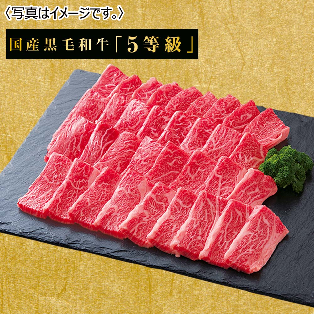 国産黒毛和牛5等級 国産黒毛和牛 肩ロース焼肉用