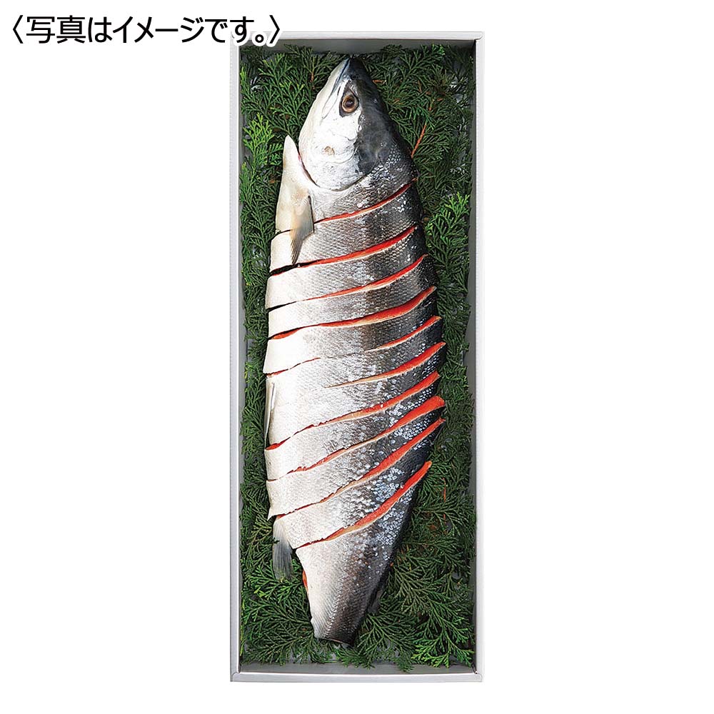 <王子サーモン>紅鮭姿切身半身