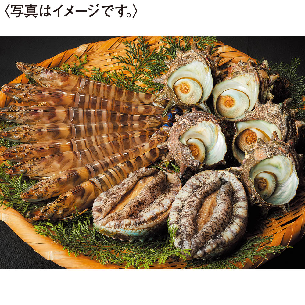 <天草フーズ>九州産 活車えび・活あわび・活さざえセット