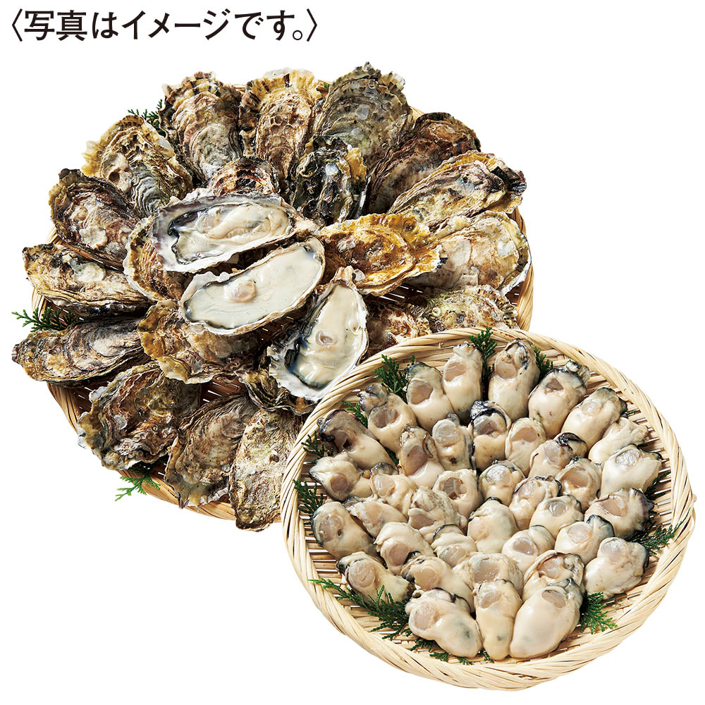 <マルヒロ水産>生かき殻付セット(大) 加熱用
