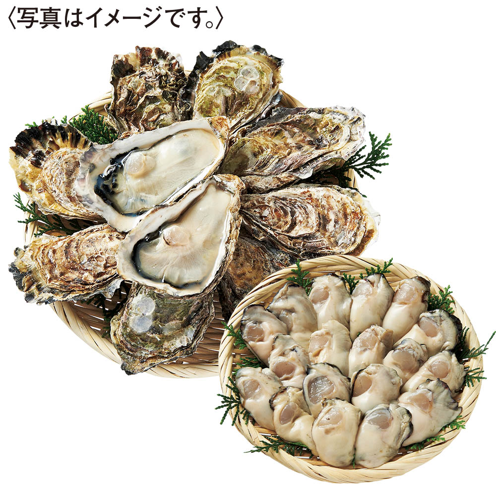 <マルヒロ水産>生かき殻付セット(小) 加熱用