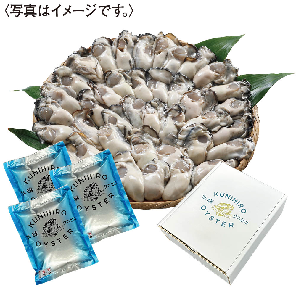 <クニヒロ>広島県産 生かきむき身 生食用