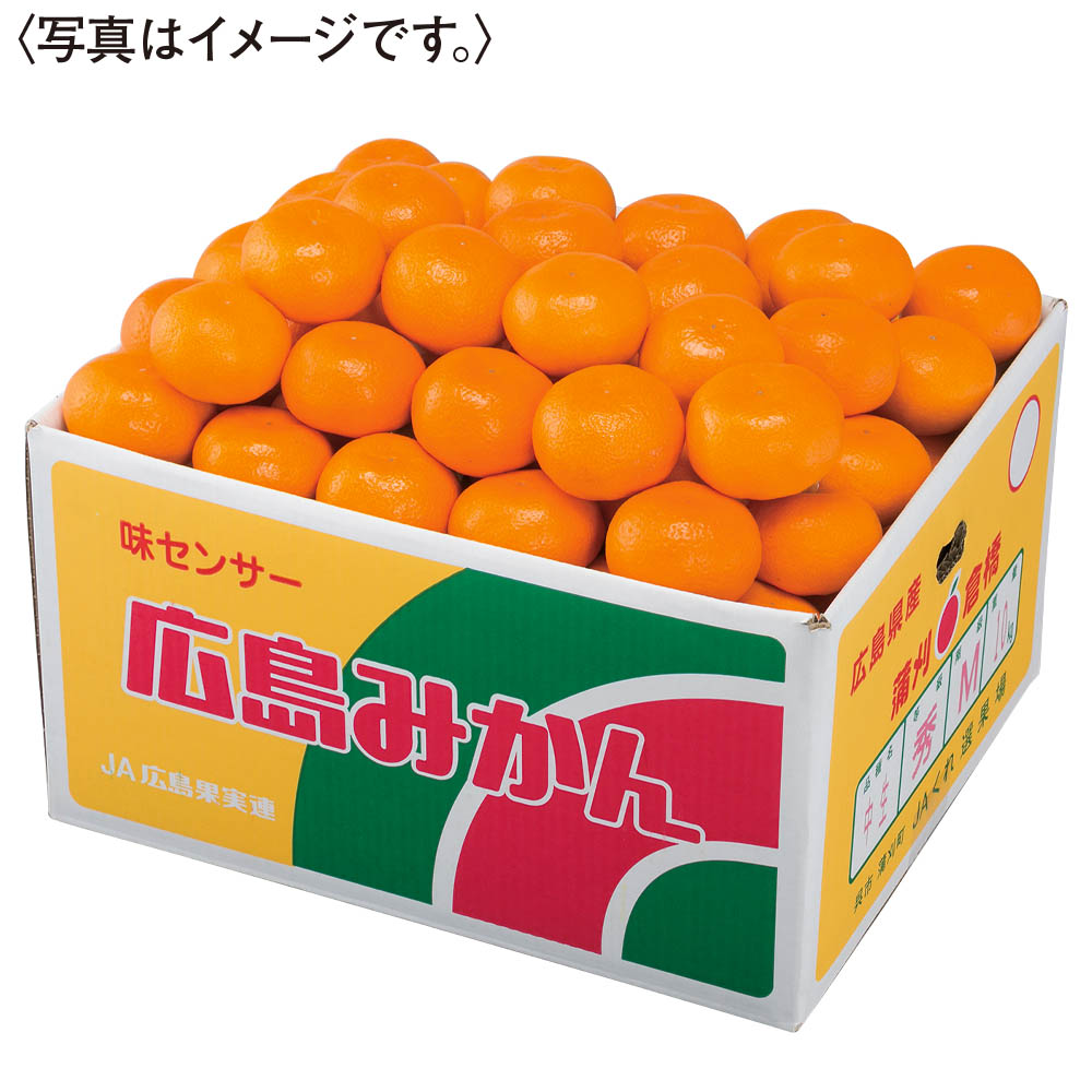 広島県産 みかん