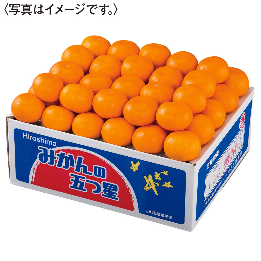 広島県産 みかんの五つ星