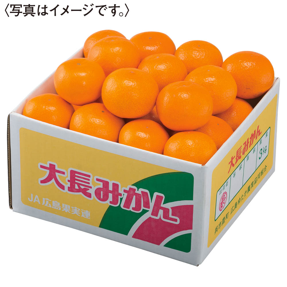 広島県産 大長みかん