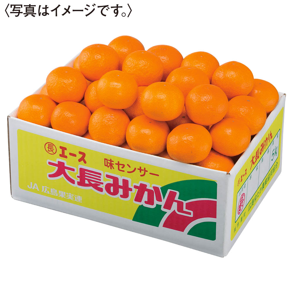 広島県産 大長エースみかん