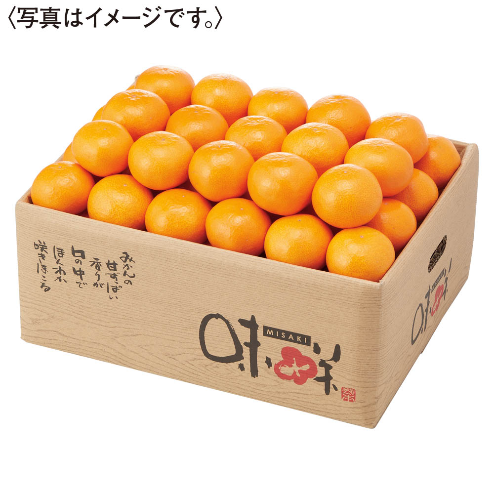 熊本県産 プレミアム汐みかん