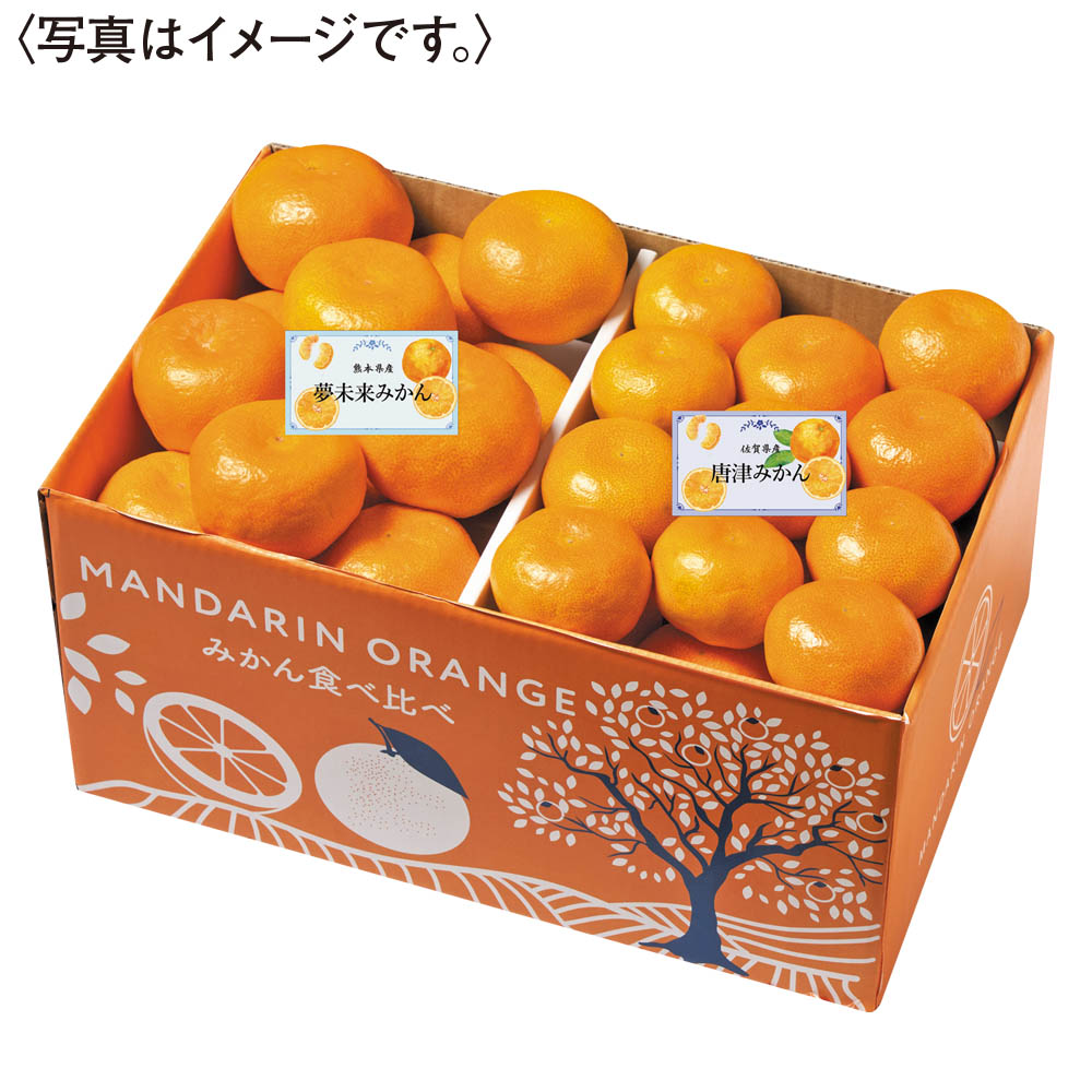 みかん食べ比べ(佐賀、熊本)