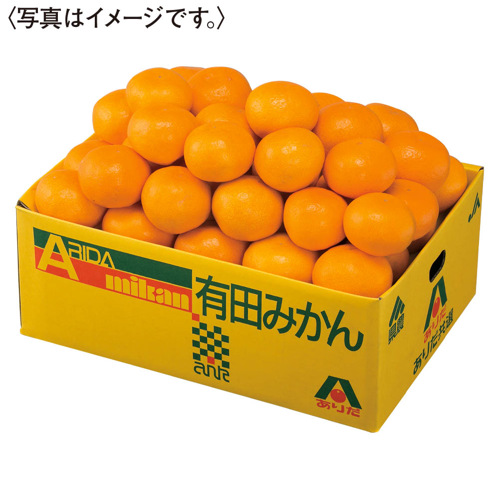 和歌山県産<JAありだ>有田みかん