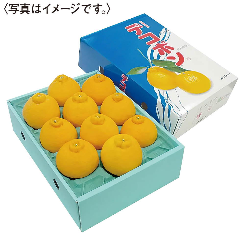 佐賀県産<JAからつ>デコポン