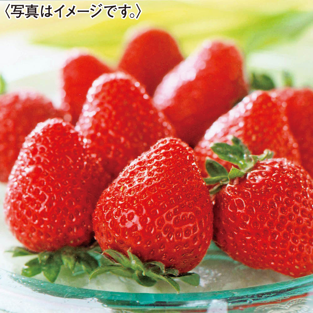 福岡県産<JAふくおか八女>博多あまおう700g
