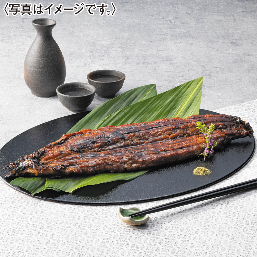 <兼光水産>幻の新仔うなぎ