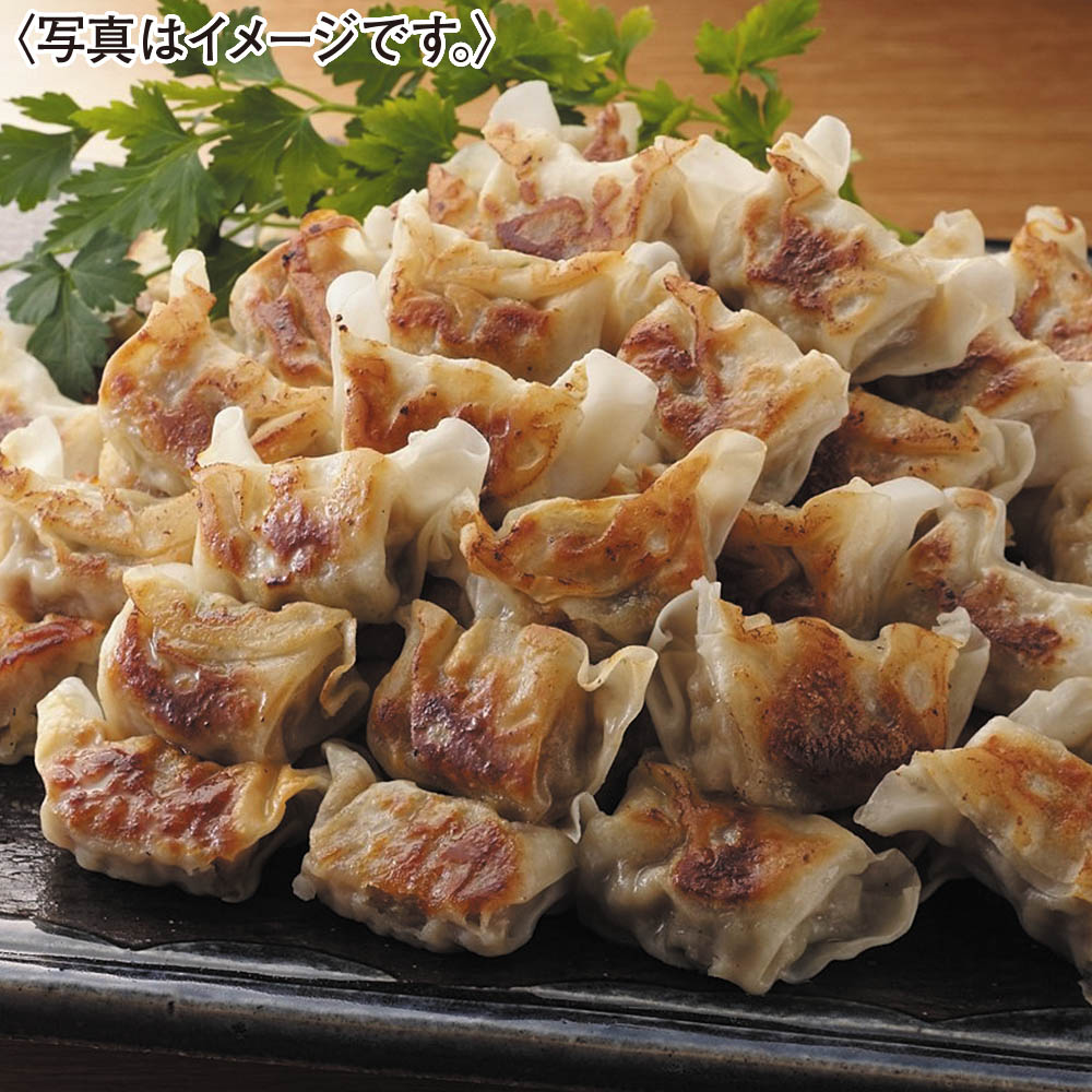国産豚肉のひとくち肉餃子