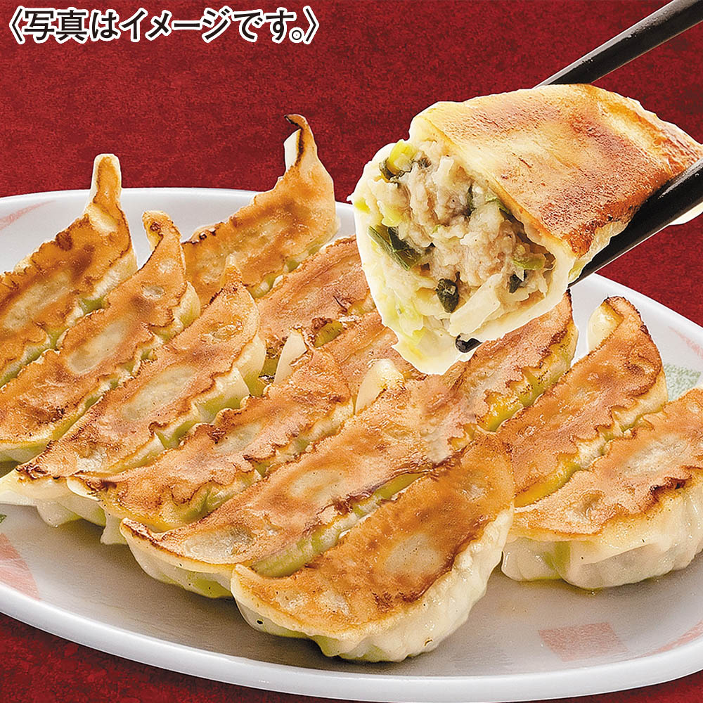 <宇都宮餃子館>お店で人気の餃子6種セット