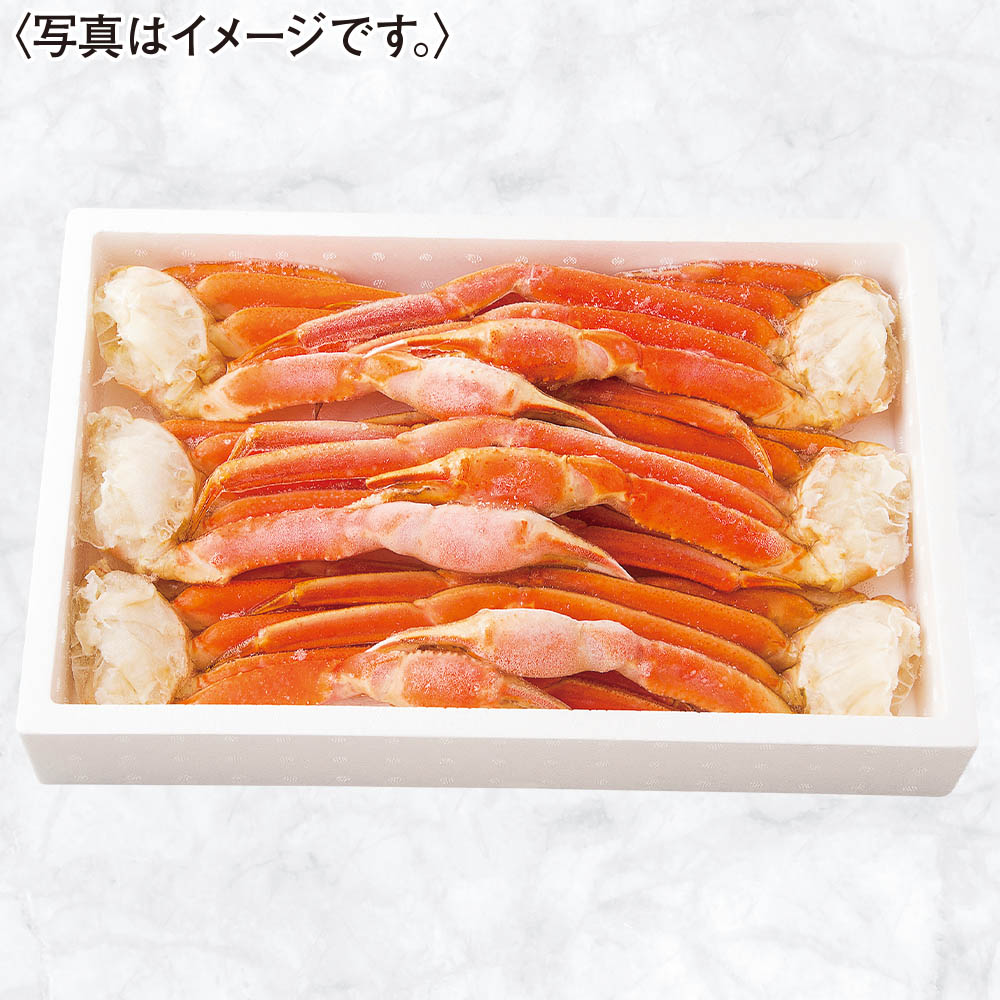 【限定100セット】ボイルずわいがに肩(5~6肩)