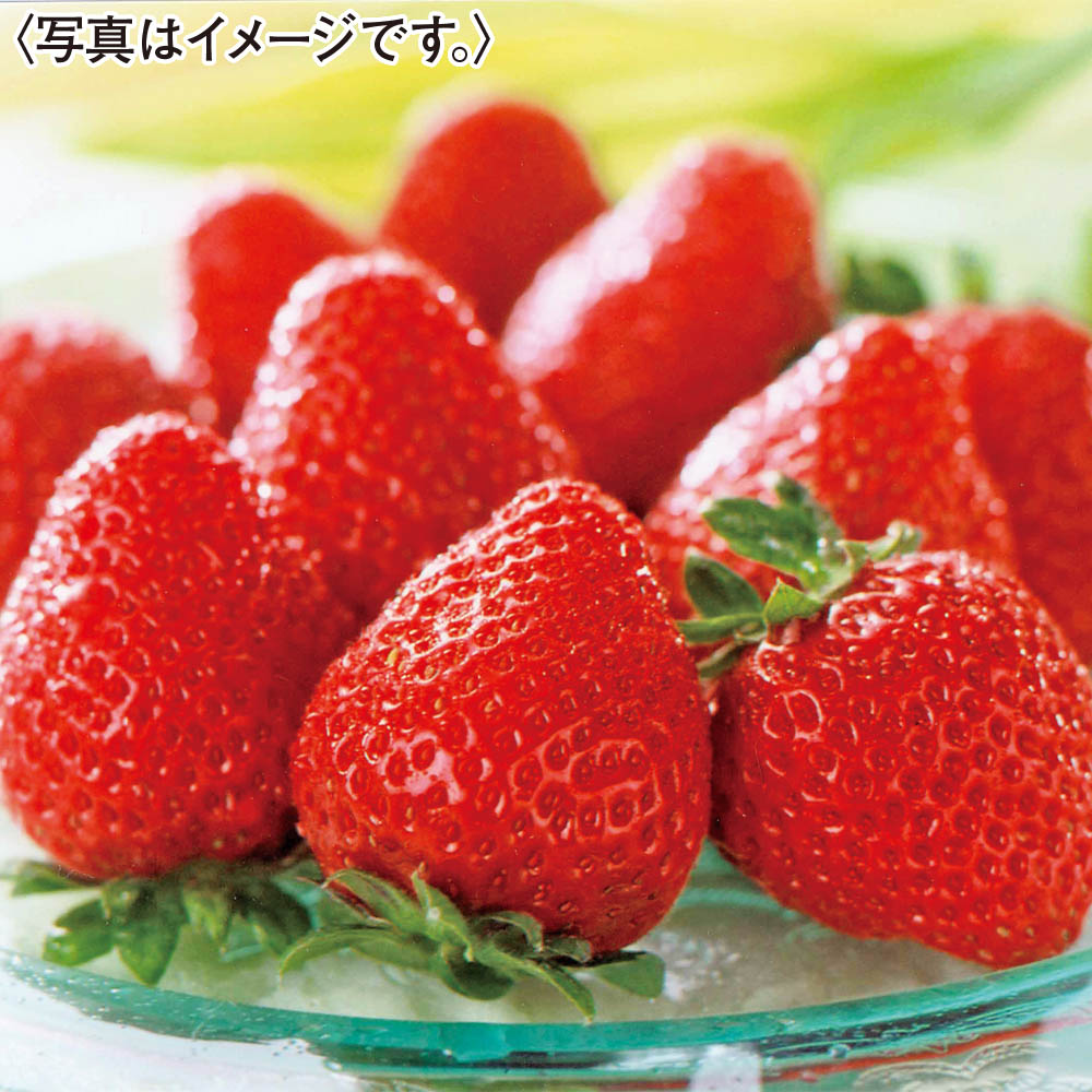 福岡県産 博多あまおう