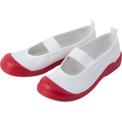 バイオスクールカラーDX 　赤