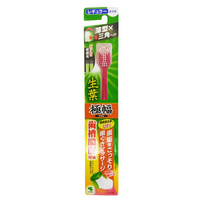 小林製薬 生葉 極幅ブラシ レギュラー ふつう