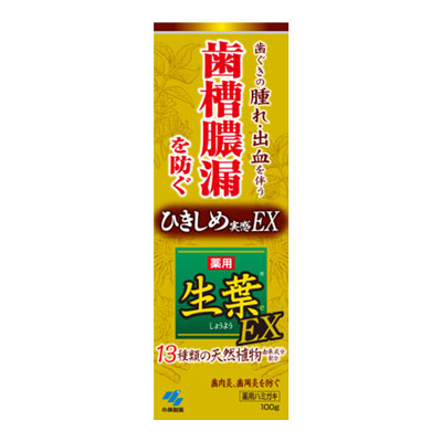 小林製薬 生葉EX 歯磨き粉 100g