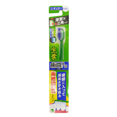 小林製薬 生葉 歯間に入るブラシ レギュラー ふつう