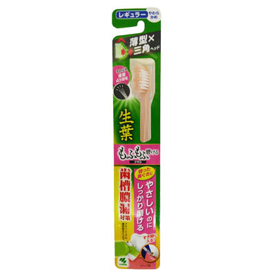 小林製薬 生葉  もふもふ磨けるブラシ レギュラー やわらかめ