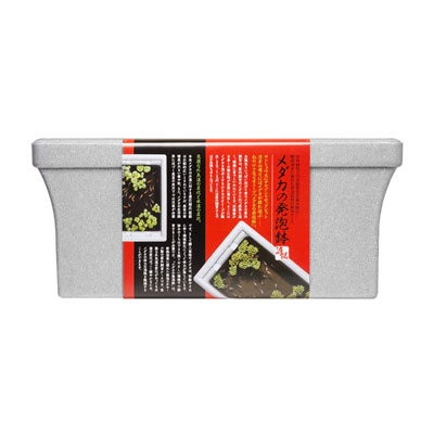 スターペット　メダカの発泡鉢