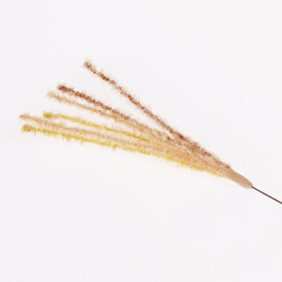 じゃれ猫 猫のお遊びススキ草 1本