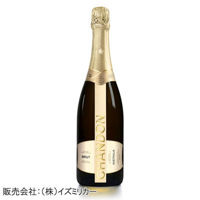 シャンドン・ブリュット　750ml