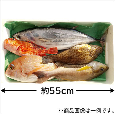 産地直送　鮮魚セット「和」
