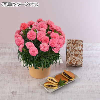 限定版 ゆめオンライン ゆめタウン公式通販催事商品 - online youme | その他