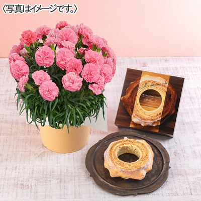 ゆめオンライン | youme online - ゆめタウン公式通販催事商品