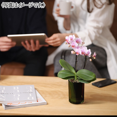 ゆめオンライン | youme online - ゆめタウン公式通販催事商品