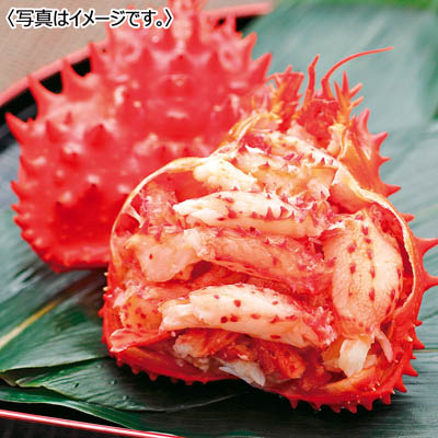 【送料無料】＜キタウロコ荒木商店＞ ボイル花咲蟹甲羅盛り化粧箱約６５ｇ×４